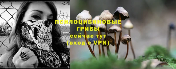 mdpv Абаза