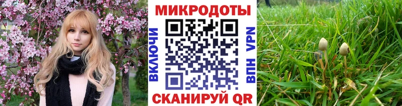 Псилоцибиновые грибы мицелий  гидра сайт  Агрыз 
